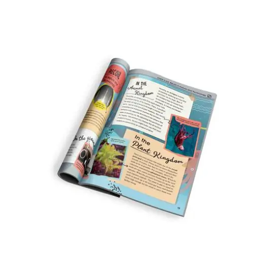 Thames & Kosmos Water Power: Rocket-Propelled Cars, Boats & More {4}