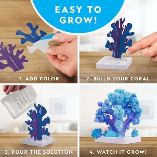 National Geographic&trade; Crystal Reef Science Kit {5}