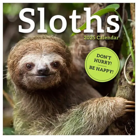 TF Publishing 2025 Sloths Wall Calendar {1}