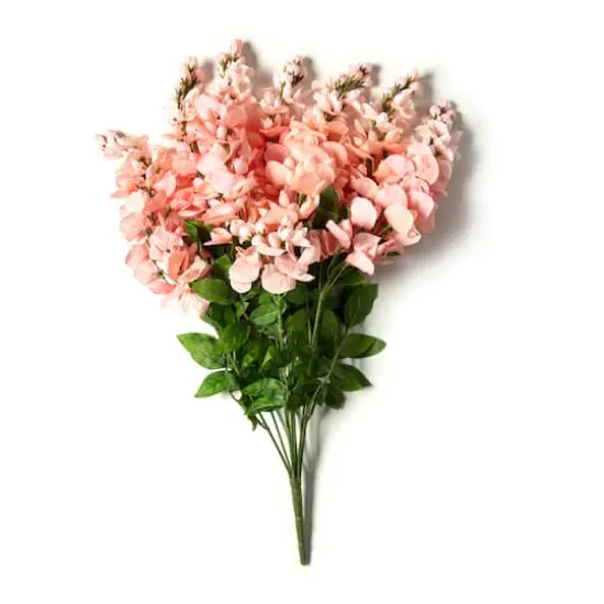 Coral Wisteria Bush by Ashland&reg; {1}