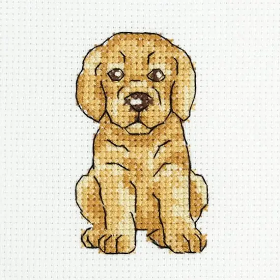 RTO Clumsy Jackie Counted Cross Stitch Kit {1}