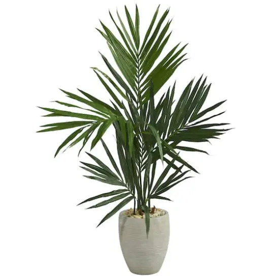 4ft. Kentia Palm Tree in Sand Colored Planter {1}