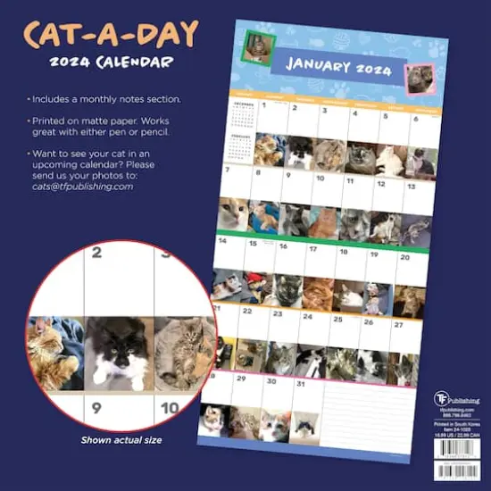 TF Publishing 2024 Cat-A-Day Wall Calendar {3}