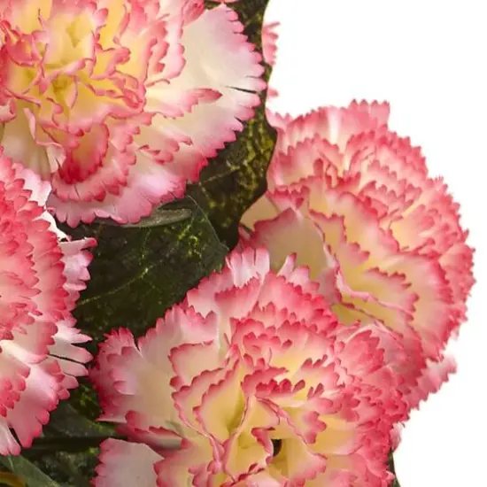 Carnation Arrangement In Vase Cream Pink {4}