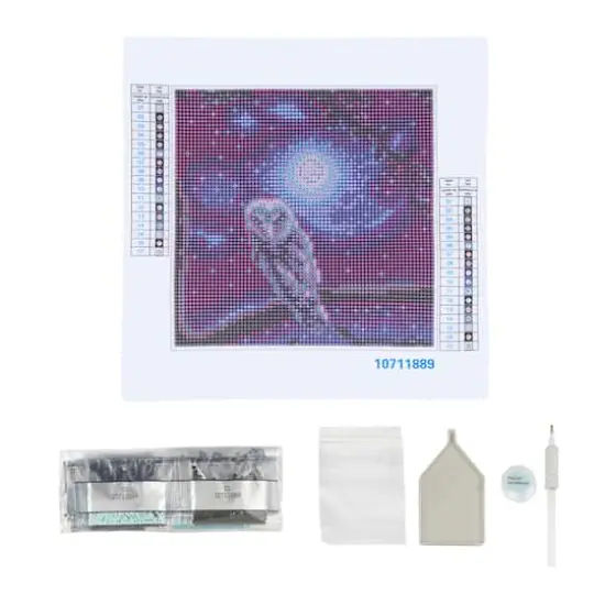 Night Owl Painting Diamond Art Kit by Make Market&reg; {3}