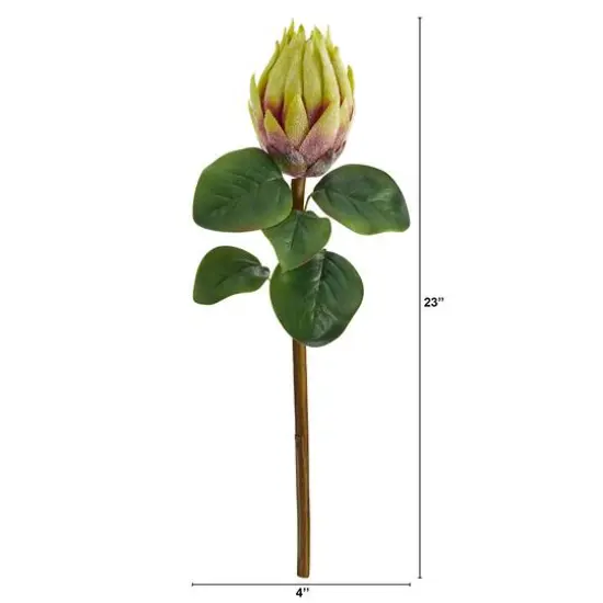 Green King Protea Stem, 4ct. {3}