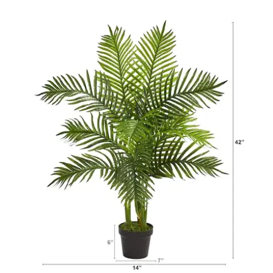 3.5ft. Potted Areca Palm Tree {3}