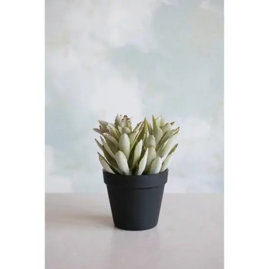 Hello Honey&reg; Faux Succulent In Pot {3}