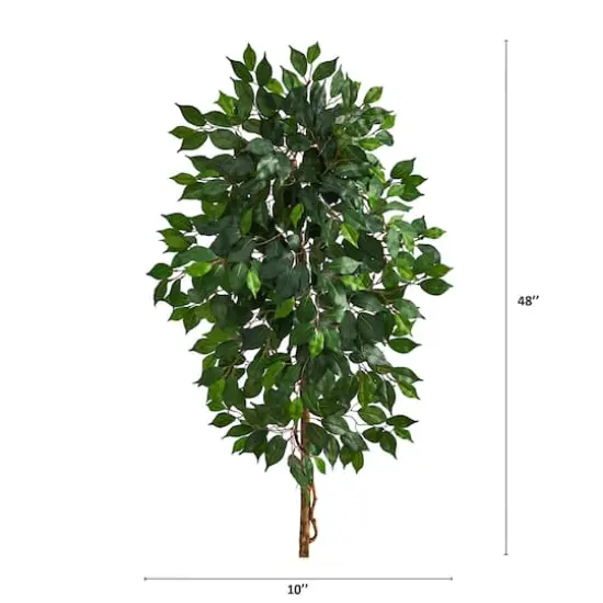 4ft. Single Ficus Tree {3}
