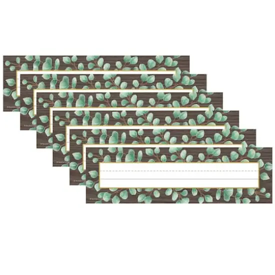 Teacher Created Resources Eucalyptus Flat Name Plates, 6 Packs of 36 {1}