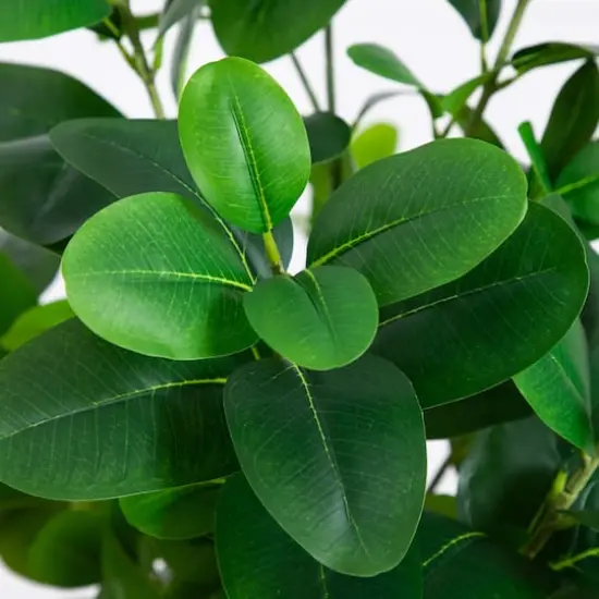 6ft. Artificial Audrey Ficus Tree {6}