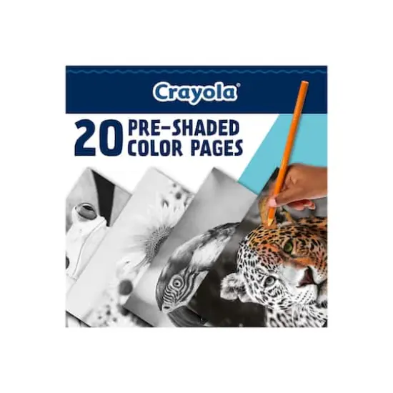 Crayola&reg; HD Coloring Kit {6}