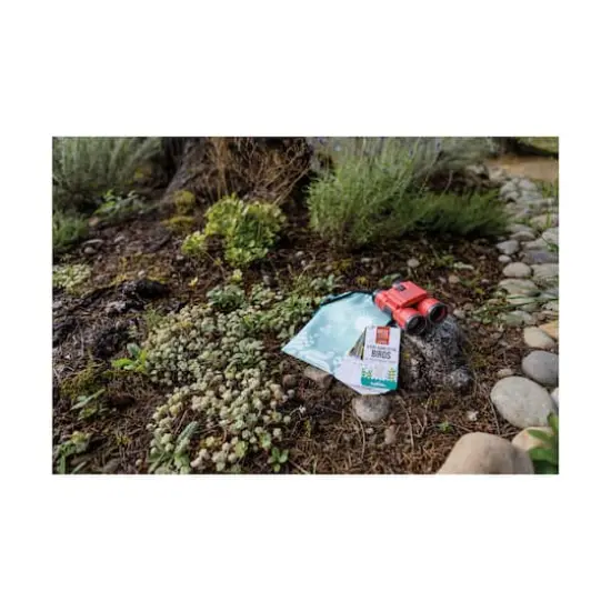 Beetle & Bee Garden - Little Birder Kit {7}