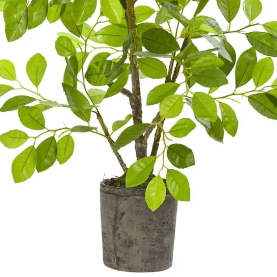 3ft. Ficus Tree in Faux Concrete Planter {4}