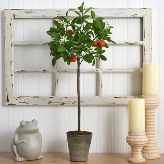 3ft. Potted Orange Tree {5}