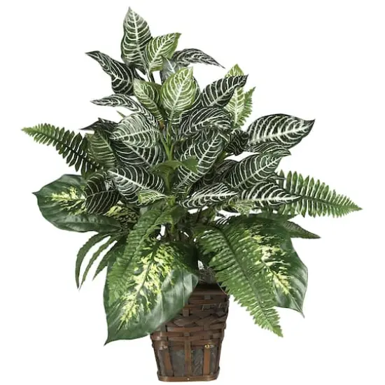 2ft. Mixed Greens Zebra in Wicker Silk Planter {1}