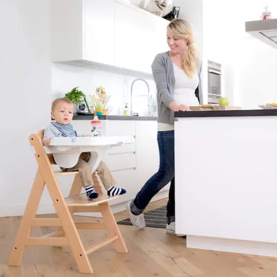 Hauck 3-in-1 Table Alpha Tray & 5-Point Harness Set {11}