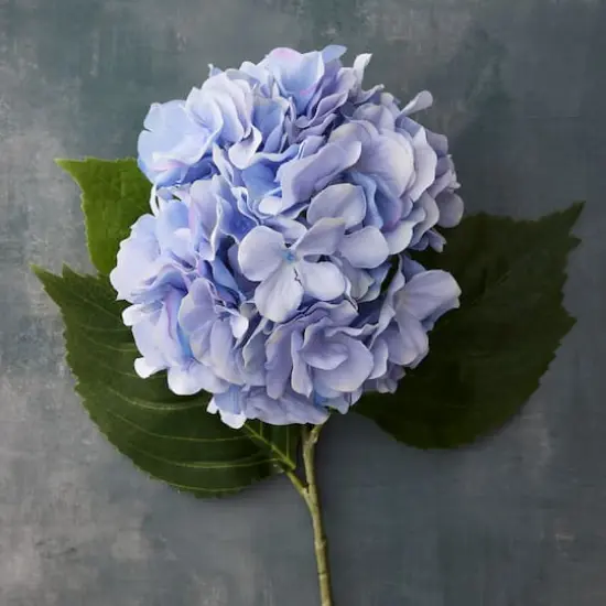 Garden Blooms Hydrangea Stem by Ashland&reg; Blue {3}