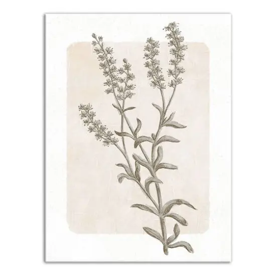 Simple Floral Still II 20" x 24" Canvas Wall Art {1}