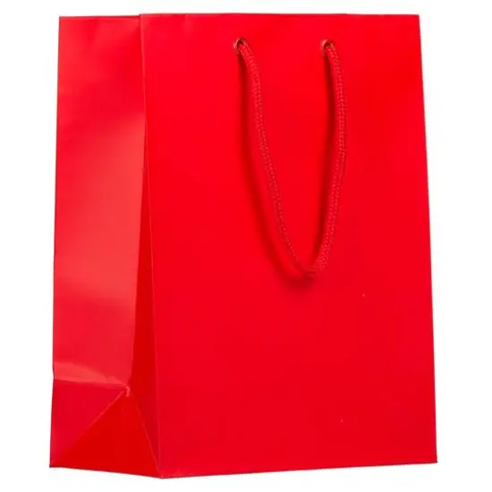 JAM Paper Medium Gift Bags with Rope Handles, 100ct. Red Matte {2}