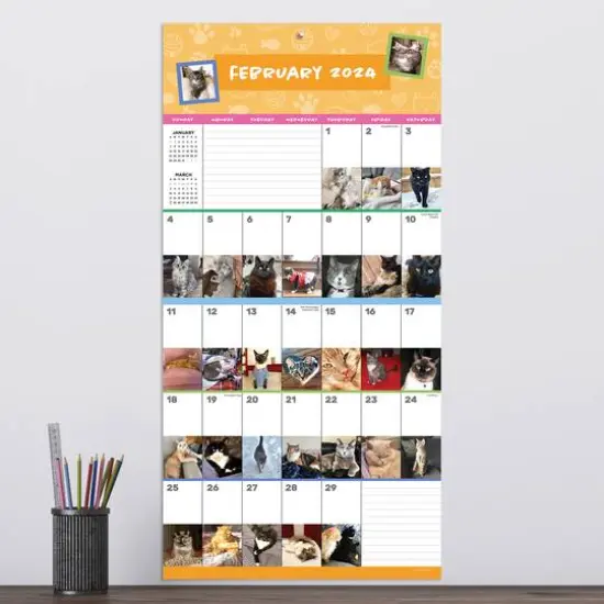 TF Publishing 2024 Cat-A-Day Wall Calendar {5}