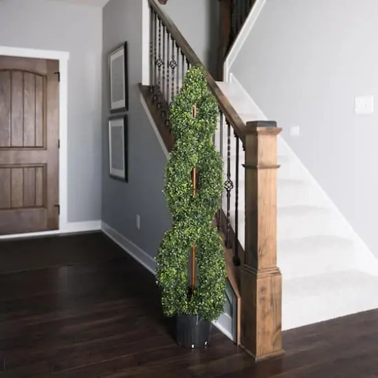 5ft. Green Boxwood Double Spiral Topiary Tree {3}
