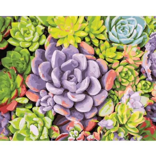 Succulents Paint-by-Number Kit by Artist's Loft&reg; {1}