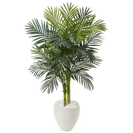 4.5ft. Golden Cane Palm Tree in White Oval Planter {1}