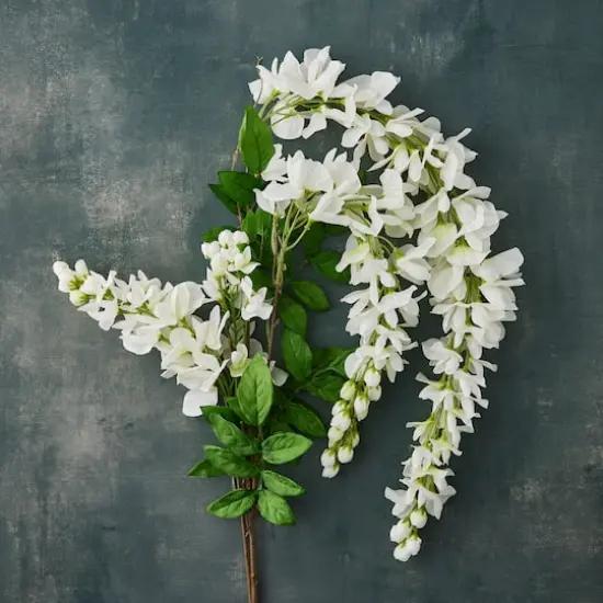 Cream Wisteria Stem by Ashland&reg; {3}