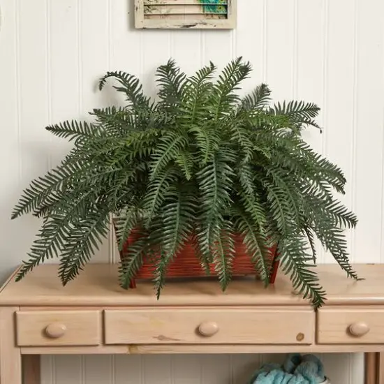 2.5ft. River Fern in Wood Planter {6}