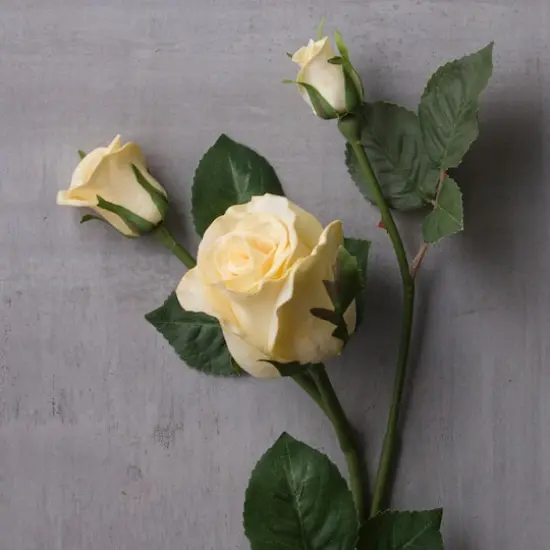 White Faux Real Rose Stem by Ashland&reg; {3}