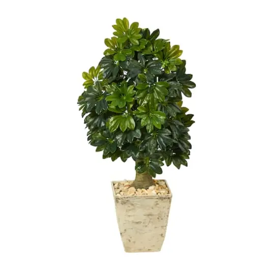 3.5ft. Umbrella Tree in Country White Planter {1}
