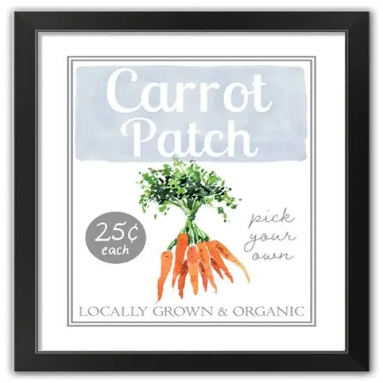 Carrot Patch Sign 5 16" x 20" Black Framed Print Under Plexiglass {1}