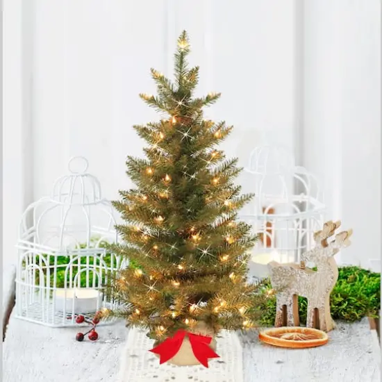 3ft. Pre-Lit Slim Fraser Fir Artificial Potted Christmas Tree, Clear Lights {3}