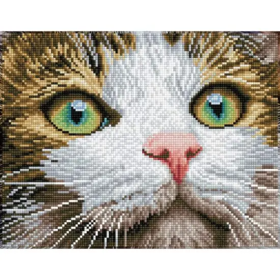 Diamond Dotz&reg; Green Eyed Beauty Diamond Painting Artwork Kit {1}