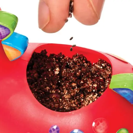 Creativity for Kids&reg; Self-Watering Plant Pet Dinosaur {9}