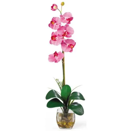 2.3ft. Dark Pink Orchid Arrangement with Vase {1}