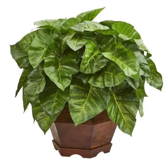 17" Taro Artificial Plant in Decorative Brown Planter {1}