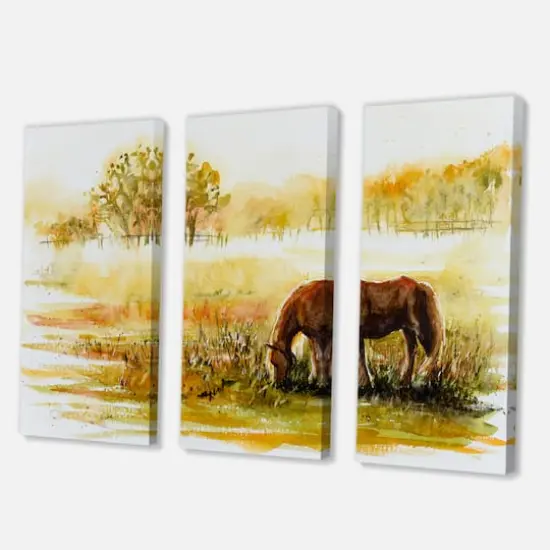 Designart - Horse Grazing On A Meadow - Farmhouse Canvas Wall Art Print {1}