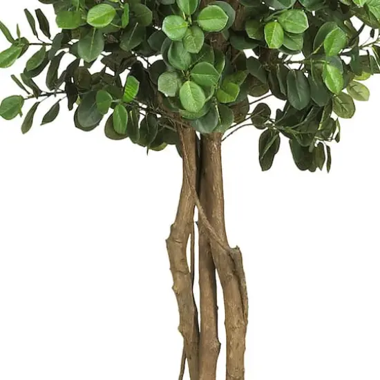 5.5ft. Potted Eucalyptus Double Ball Topiary {4}