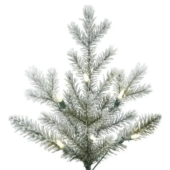 7.5ft. Pre-Lit Frosted Eastern Fraser Fir Artificial Christmas Tree, Warm White LED Lights {4}