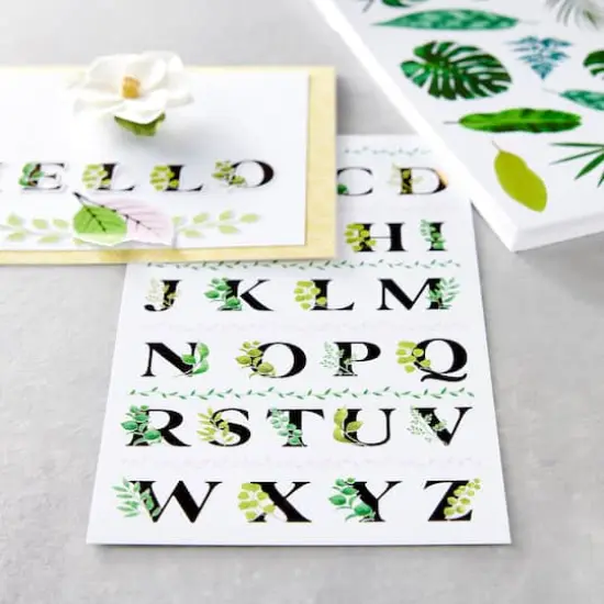 Leaves Stickers by Recollections&trade; {3}