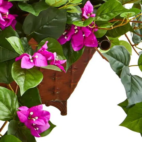 17" Purple Bougainvillea in Metal Planter {3}