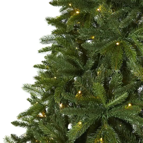 7ft. Pre-Lit Sierra Spruce Artificial Christmas Tree, Clear LED Lights {4}