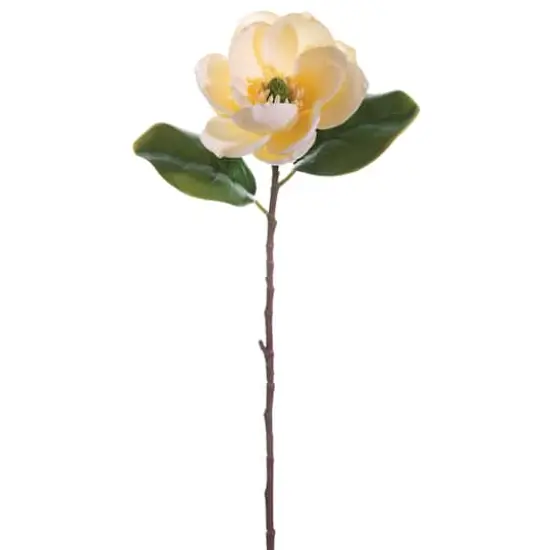 Vanilla Magnolia Spray  {1}