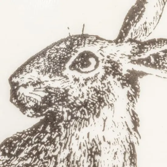 Hello Honey&reg; 6.5" Round Rabbit Stoneware Planter & Scalloped Saucer {4}