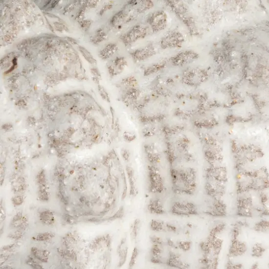 Hello Honey&reg; 10.25" White Reactive Glaze Conch Shell Stoneware Tabletop D&eacute;cor {4}