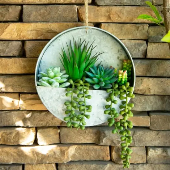 Flora Bunda&reg; 8" Succulent in Hanging Wall Planter {4}