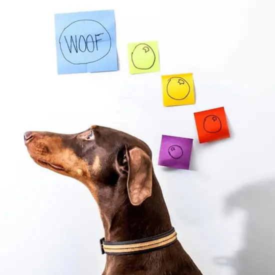 Post-it&reg; 3" x 3" Super Sticky Notes, 5 Pack Electric Blue {6}