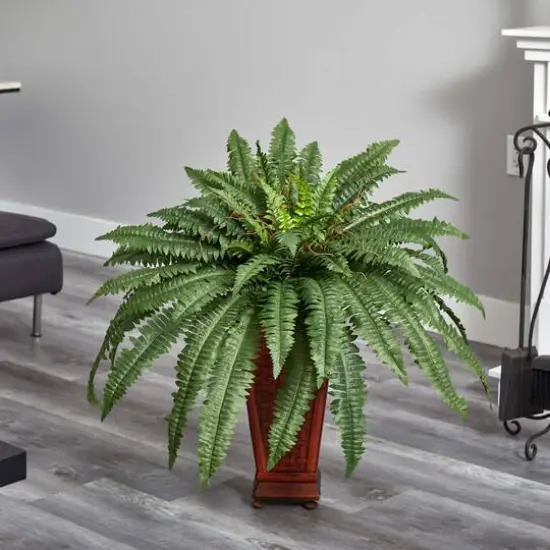 2.5ft. Boston Fern in Wood Vase {6}